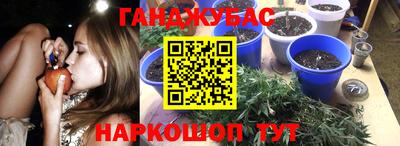 прущая мука Будённовск