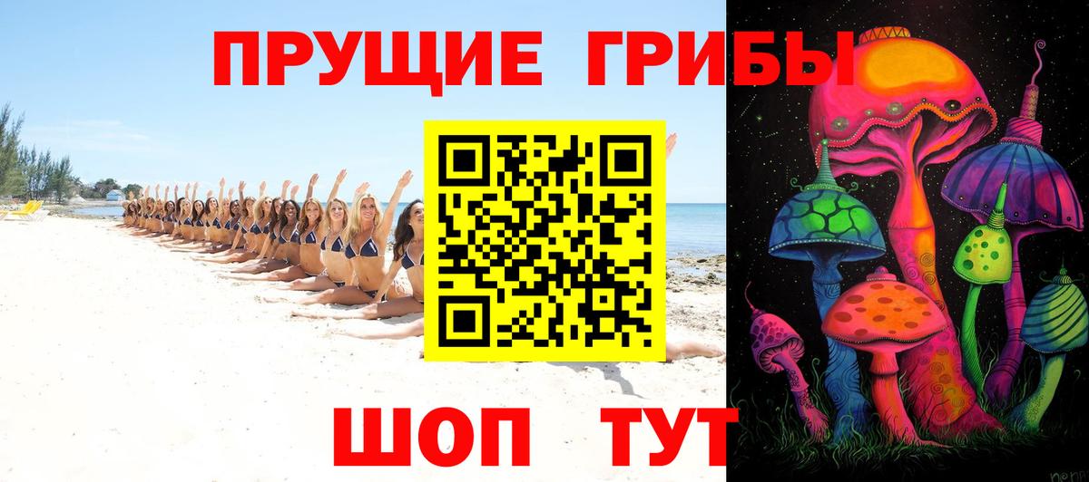 Галлюциногенные грибы Magic Shrooms Сланцы